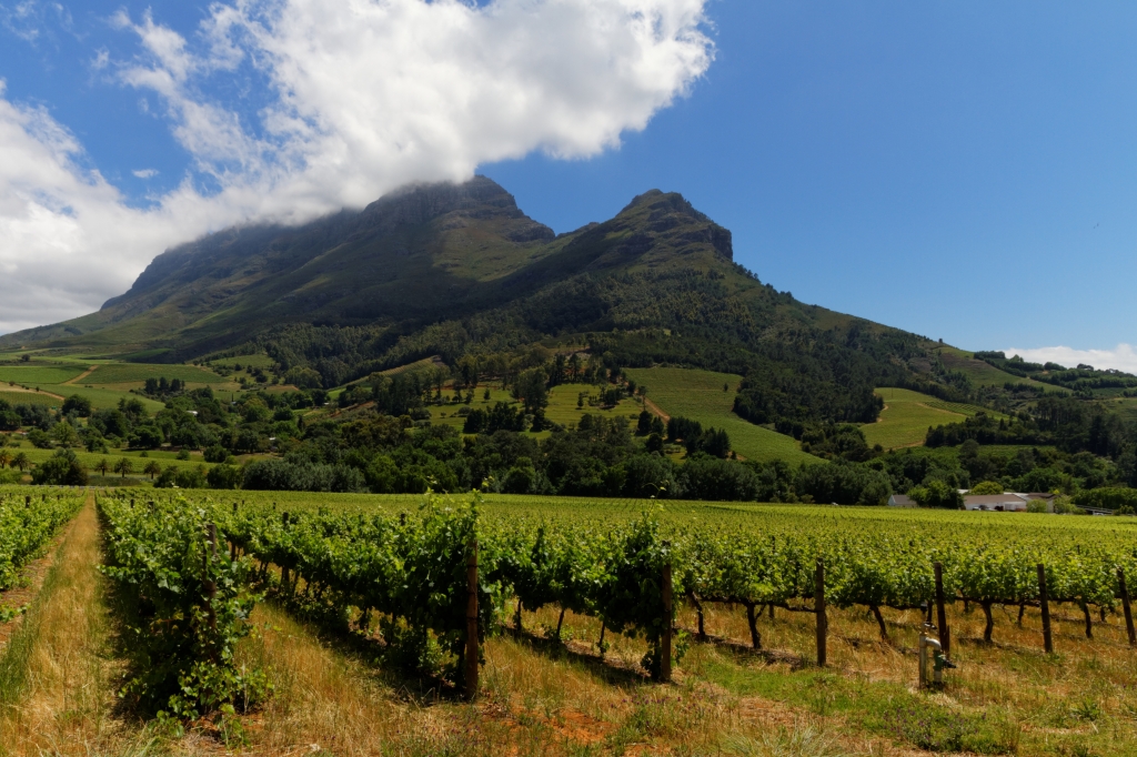 00 - Le Cap (30).jpg